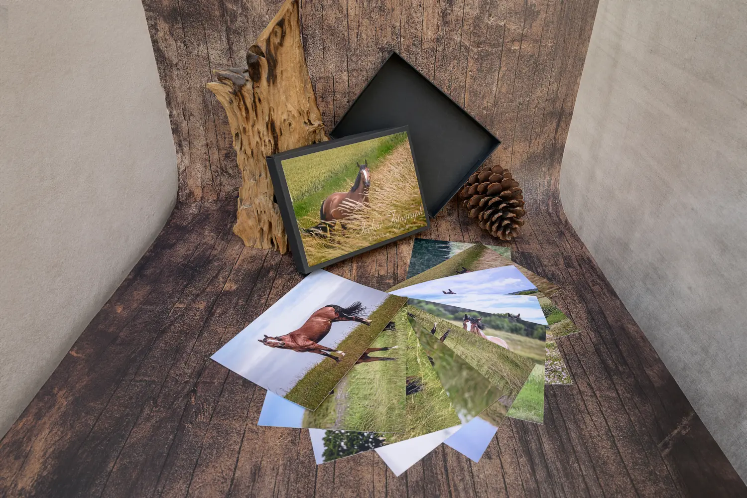 Tierfotografie von Icebär Fotografie